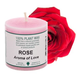 786_fragrant candle 2x2_rose_300x300.jpg